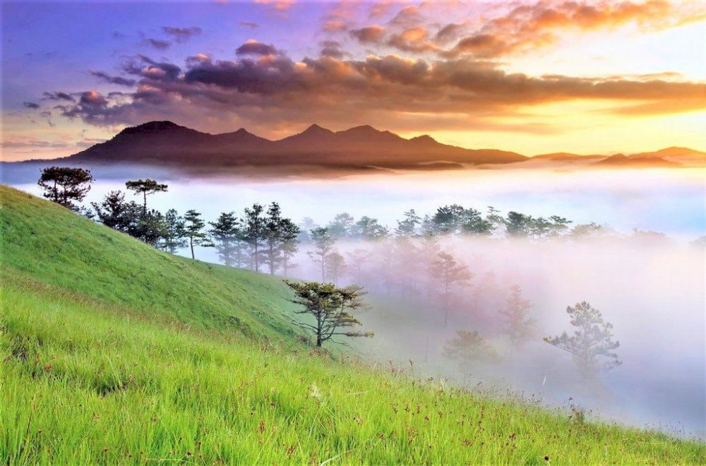 Săn mây trên Đỉnh Rada, du khách sẽ được chiêm ngưỡng biển mây bồng bềnh giữa không trung